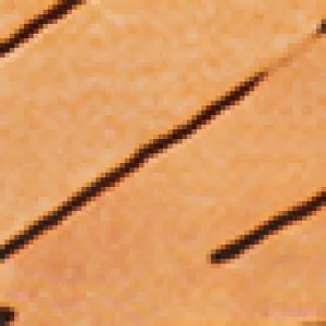 1036