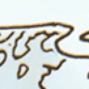 1039