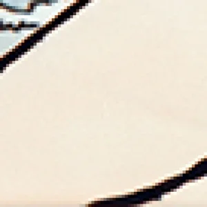 1041