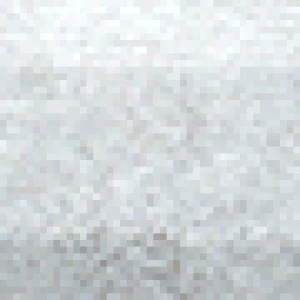 1101